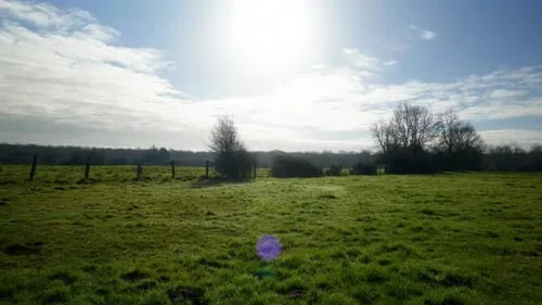 一起草网站自然风光视频素材分类